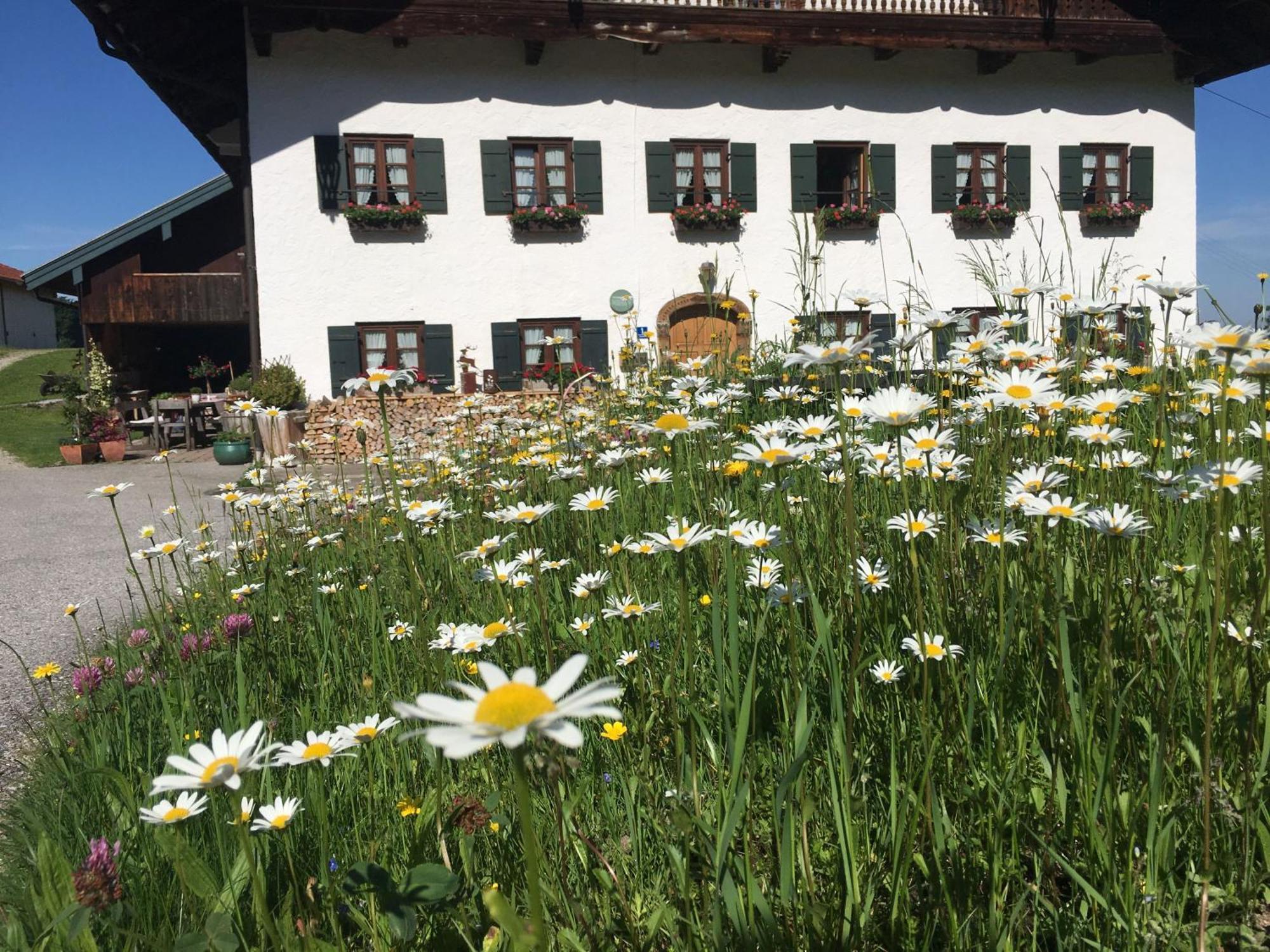 Stadlerhof Frasdorf Buitenkant foto